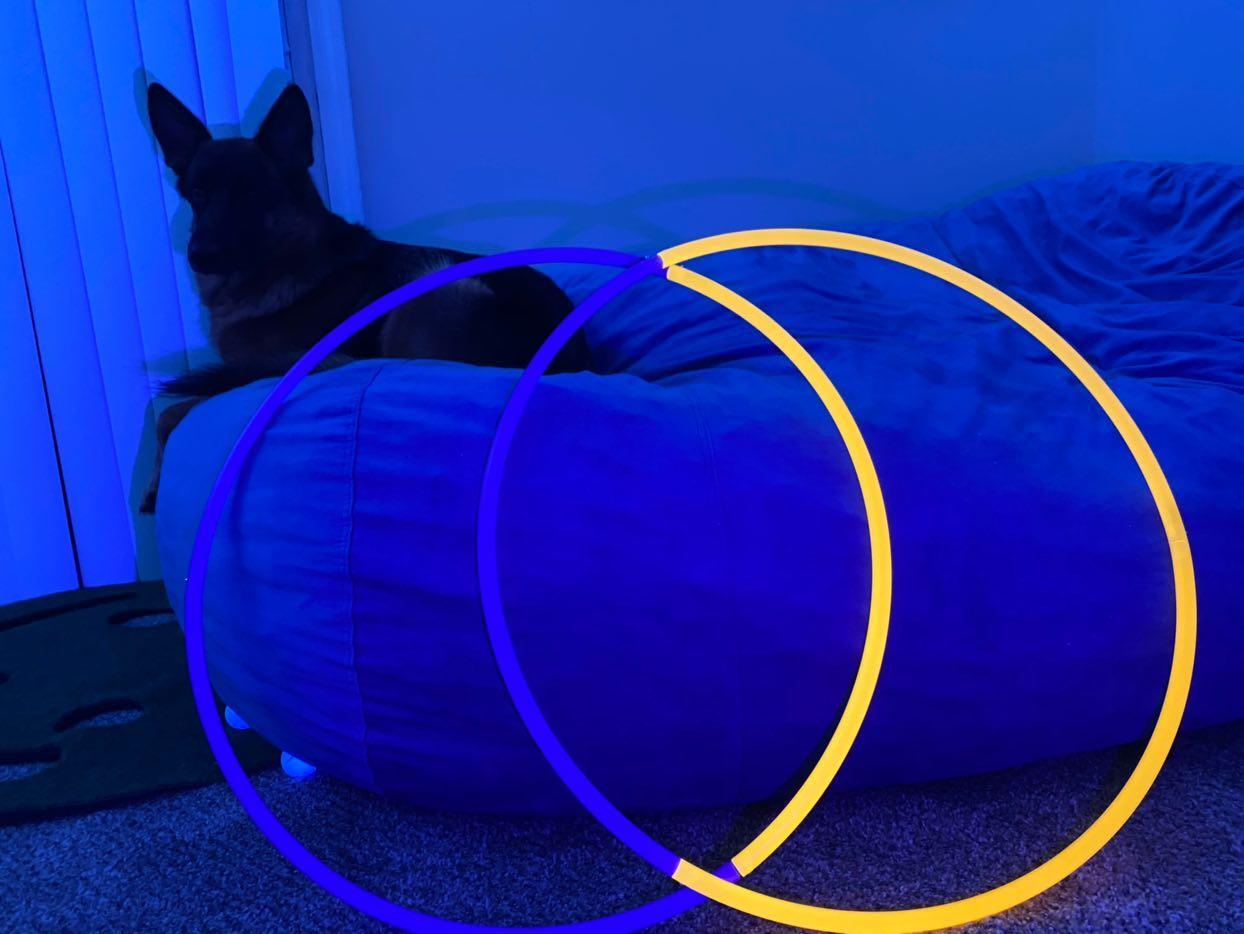 Purple Blaze 4 Piece Bare Sectional Hoop