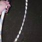 Twisted Nightmare Reflective Taped Hoop