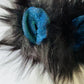 Black fur, Blue & Green iridescent