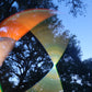 Dark Mushroom Coinflip Specialty Reflective Taped Hoop