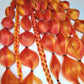 Orange Sunshine Festival Braid Tie In's
