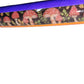 Dark Mushroom Coinflip Specialty Reflective Taped Hoop