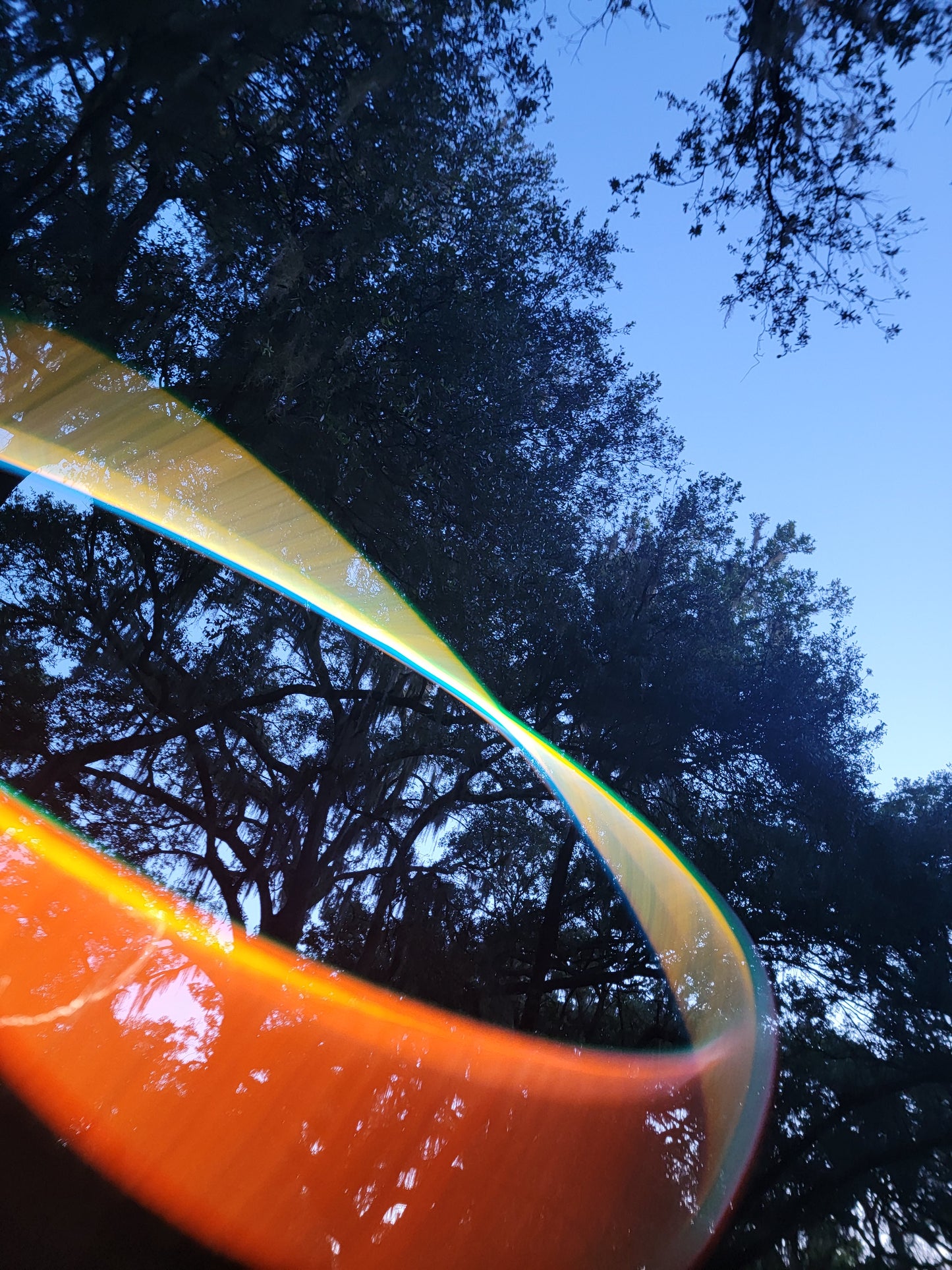 Dark Mushroom Coinflip Specialty Reflective Taped Hoop