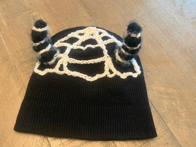 Spider web & Horn Beanie